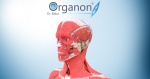3D Organon VR Anatomy