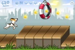 Agility City