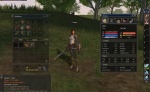 Lineage II: The Chaotic Chronicle