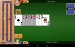 Cribbage Pro